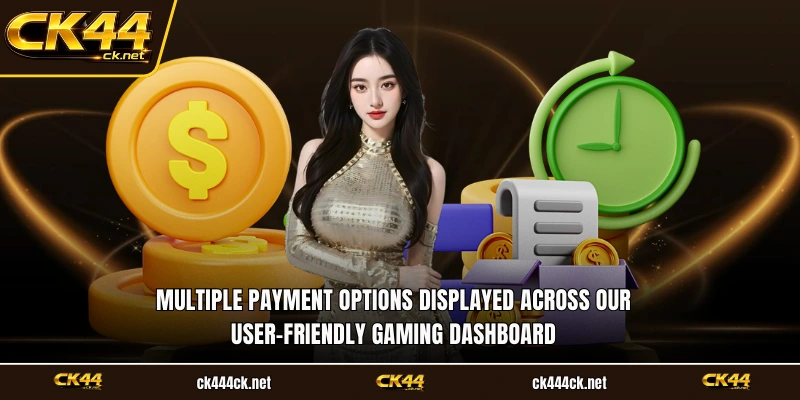 Multiple payment options displayed across our user-friendly gaming dashboard