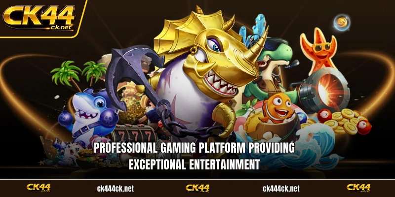 Professional gaming platform providing exceptional entertainment