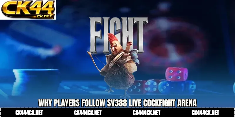 Why Players Follow SV388 live cockfight Arena